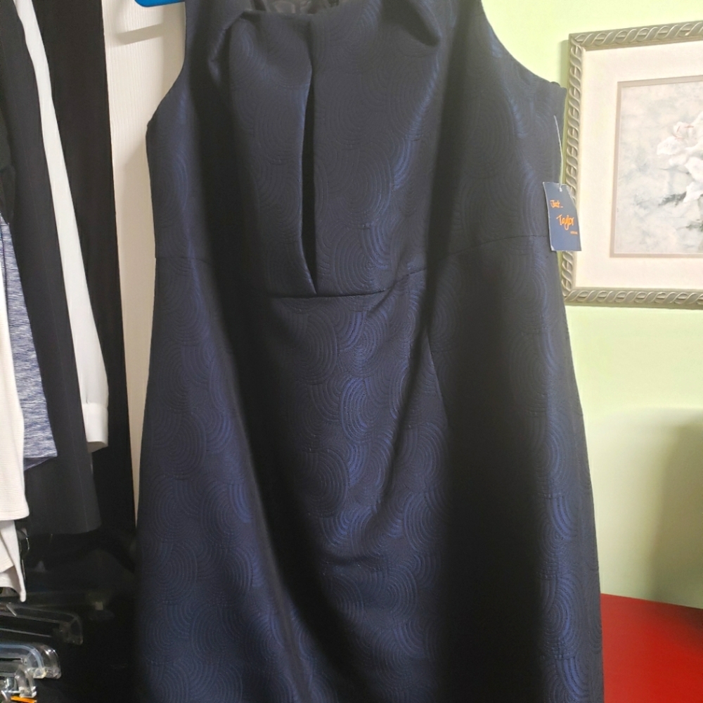 Sleeveless lined dress